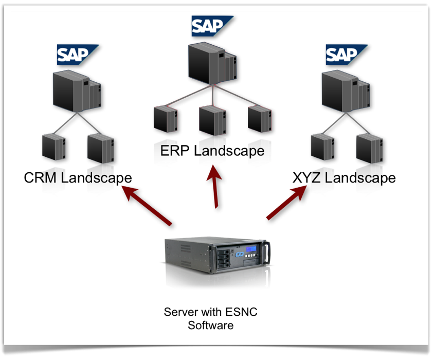 Securing SAP Systems - ESNC Software